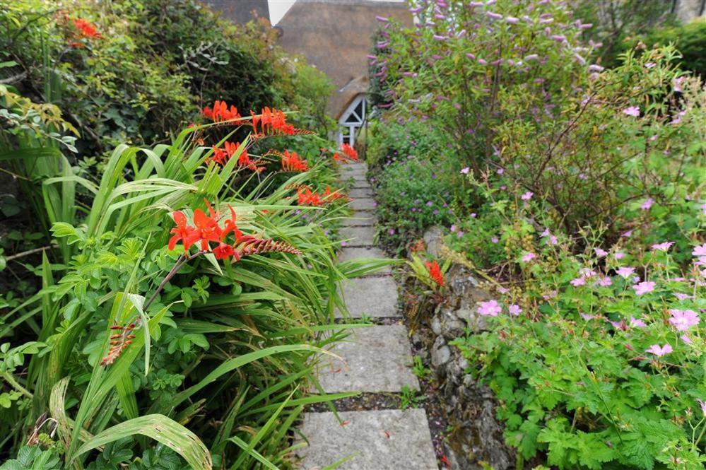 The Nest Villa Lyme Regis Kültér fotó